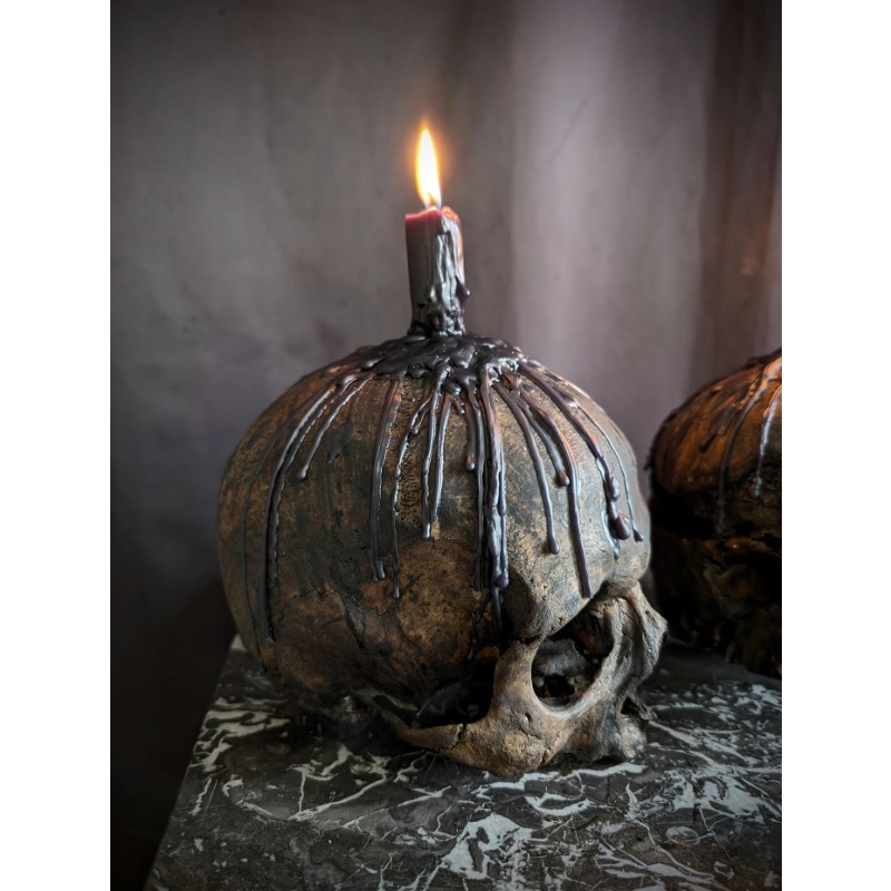 Set of 2 real Black altar Skulls