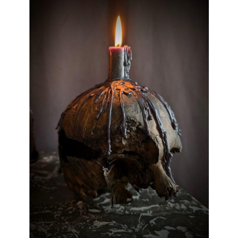 Set of 2 real Black altar Skulls