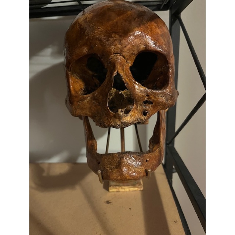 Antique human skull