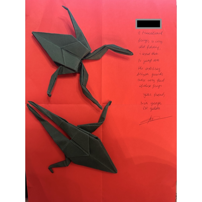 Belgian School Shooter Kim De Gelder Set of 2 Origami Frogs