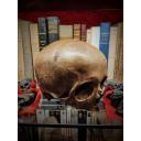 Antique Human skull with dark patina